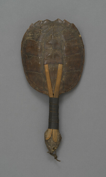 Alternate image #3 of [Restricted Object] Turtle Shell Rattle
