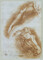 Alternate image #1 of Studies of a Horse Head and an Arm (obverse); Studies of a Hand and a Foot (reverse)