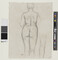 Alternate image #1 of Rear View of a Standing Nude Woman and a  Sketch of a leg (obverse); Nude Woman (reverse)