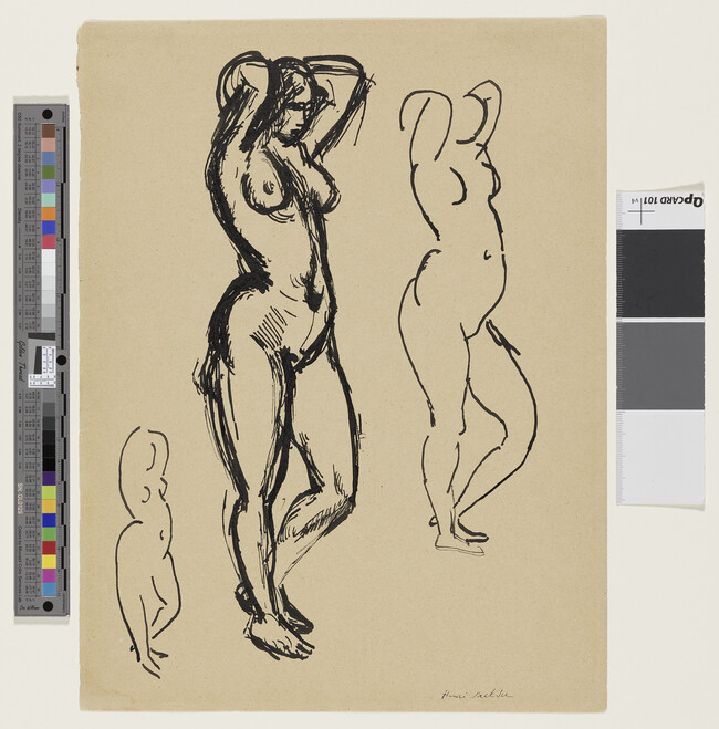 Alternate image #1 of Three Female Nude Studies