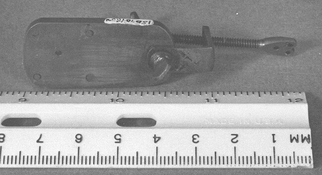Leeuwenhoek Microscope (replica)