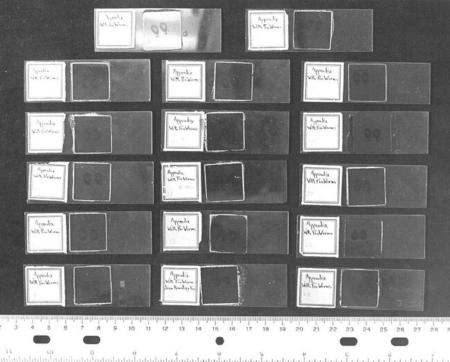 Microscope Slides