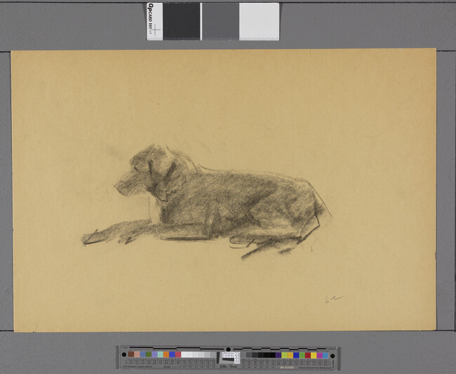 Alternate image #2 of Untitled, Dog Lying Down (obverse);  Untitled, Male Nude on Knees, Bent Forward (reverse)