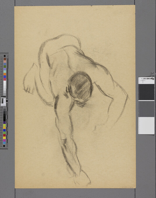 Alternate image #1 of Untitled, Dog Lying Down (obverse);  Untitled, Male Nude on Knees, Bent Forward (reverse)