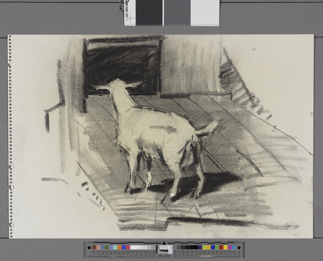 Alternate image #1 of Untitled (Standing Goat From Back)