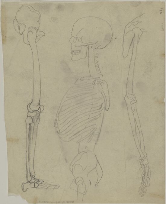 Alternate image #2 of Skeletal Study for Gods of the Modern World (Panel 15) for The Epic of American Civilization