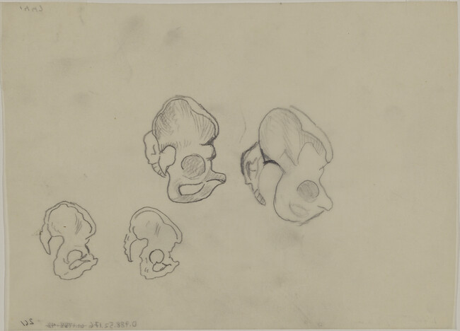 Alternate image #2 of Bone Studies for Gods of the Modern World (Panel 15) for The Epic of American Civilization