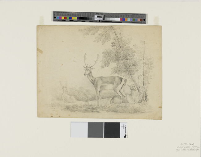 Alternate image #1 of Three Deer in Landscape