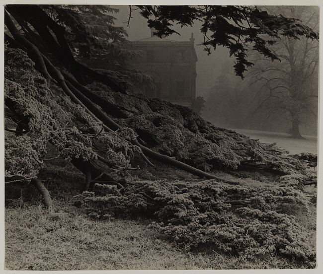 Alternate image #1 of Chiswick House Garden