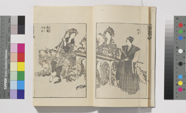 Alternate image #1 of Hokusai Book, Volume 9 of 15 (Hokusai Manga)