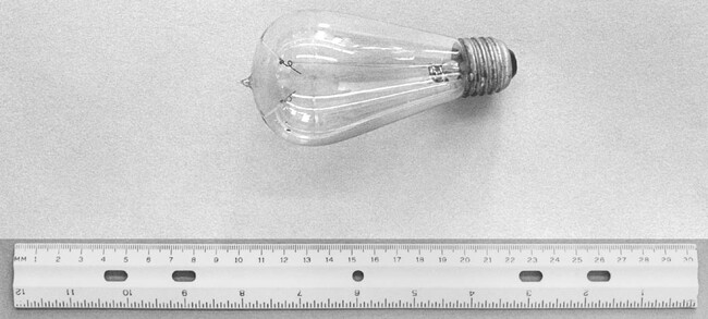 Incandescent Light Bulb