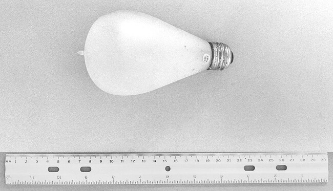 Early Frosted Light Bulb