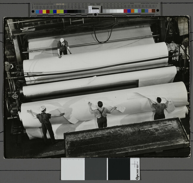Alternate image #1 of 20-Foot Roll of Finished Paper Ready for Cutting, Canada