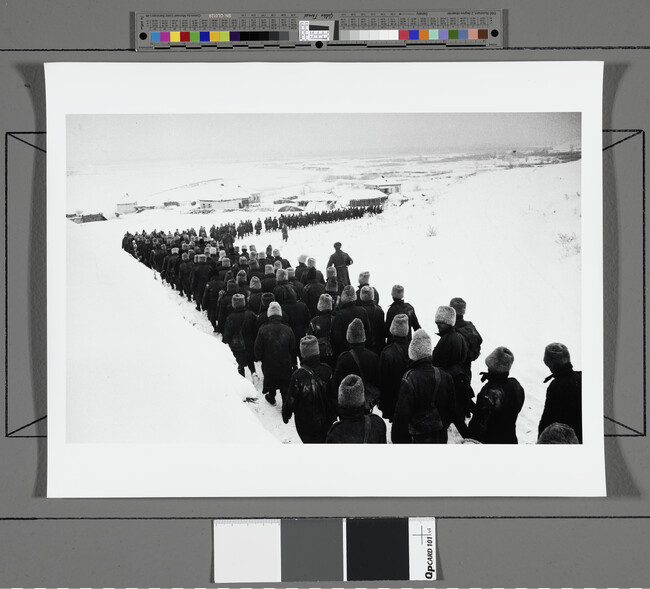 Alternate image #1 of Long March of the Romanian POW's from the Battle of Stalingrad