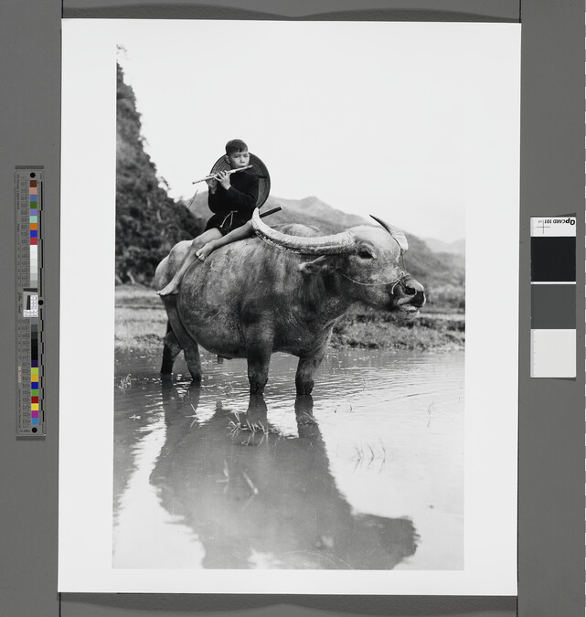 Alternate image #1 of Boy with flute atop water-buffalo, Vietnam
