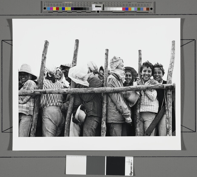 Alternate image #1 of Youths seen through wooden fence, Cuba