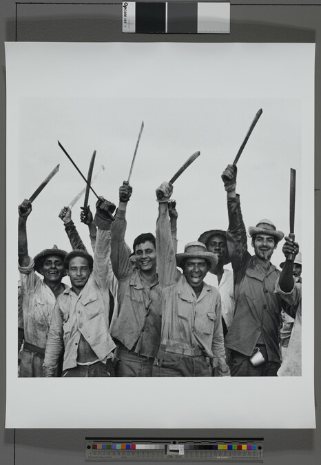 Alternate image #2 of Sugarcane workers with machetes, Cuba