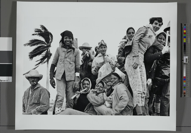 Alternate image #1 of Cuban youths (some snacking on sugar-cane)