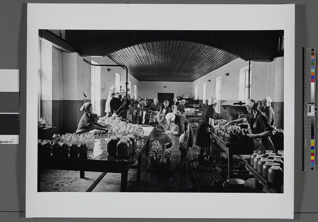 Alternate image #1 of Inside the Canning Factory