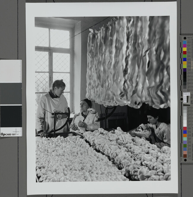 Alternate image #1 of Textile Workers with Skeins of Yarn