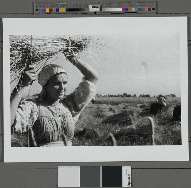 Alternate image #1 of Young Woman with Wheat and Sickle