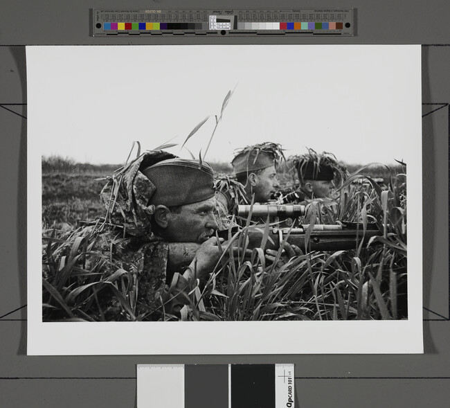 Alternate image #1 of Camouflaged soldiers in the grass