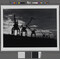 Alternate image #1 of Cranes at sunset, Tsimlynsky Hydroelectric Plant