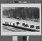 Alternate image #1 of The work is completed, Baikalo-Amurskaya Railroad