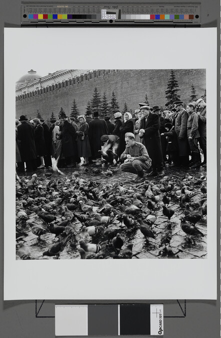 Alternate image #1 of On Holiday: Young Soldier Feeds the Pigeons, Red Square