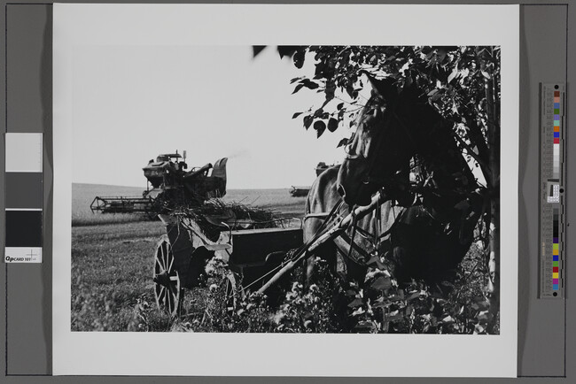Alternate image #1 of Horse, Buggy, and Harvester