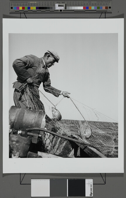 Alternate image #1 of Pacific Fisherman with his Nets