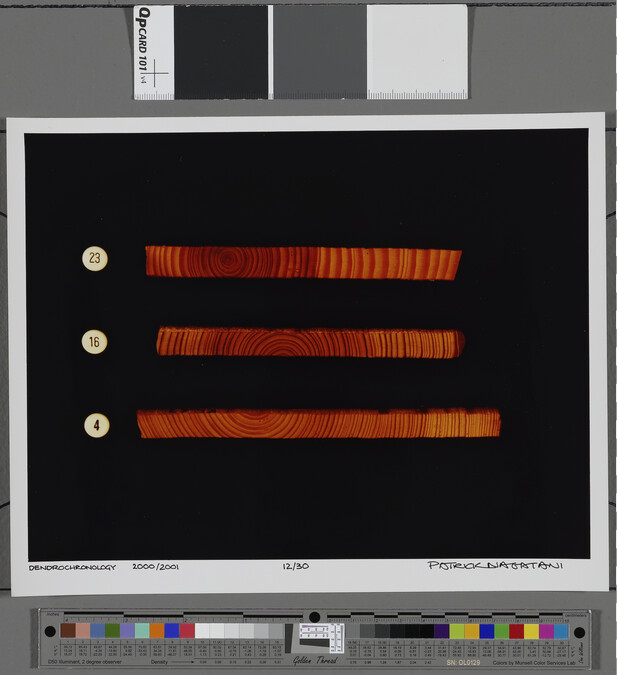 Alternate image #1 of Dendrochronology- information text sheet, from Ryoichi Excavations