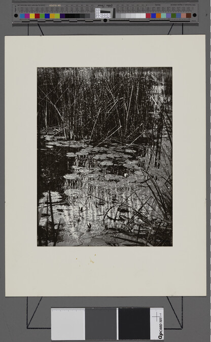 Alternate image #1 of Water Lilies (Les nénuphars), number 2 of 20, from an untitled portfolio
