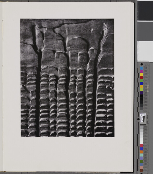 Alternate image #1 of Eroded Plank from Barley Sifter, number 3, from the book, The Art of Edward Weston
