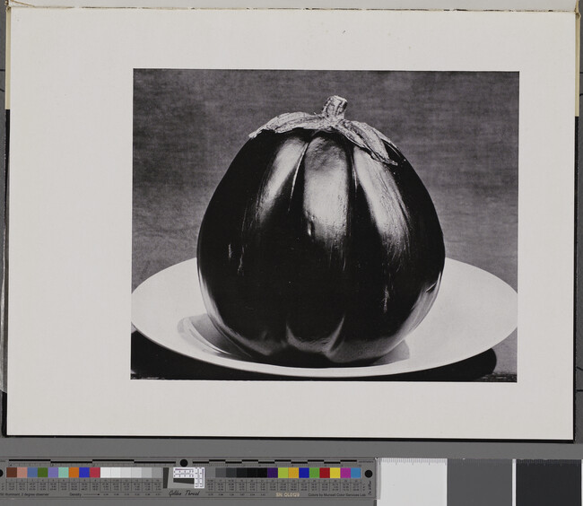 Alternate image #1 of Eggplant, number 33, from the book, The Art of Edward Weston