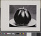 Alternate image #1 of Eggplant, number 33, from the book, The Art of Edward Weston