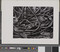 Alternate image #1 of Kelp No. 11, number 34, from the book, The Art of Edward Weston