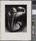 Alternate image #1 of Pepper No. 30, number 5, from the book, The Art of Edward Weston