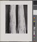 Alternate image #1 of Eucalyptus, number 6, from the book, The Art of Edward Weston