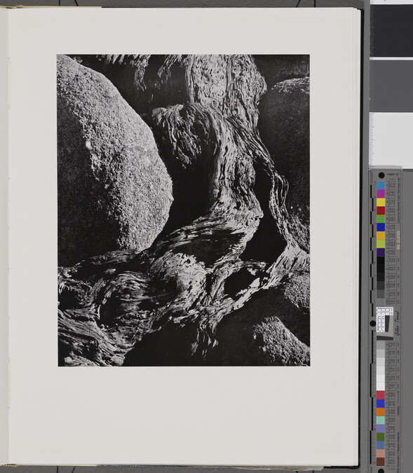 Alternate image #1 of Cypress Root and Rock, number 7, from the book, The Art of Edward Weston