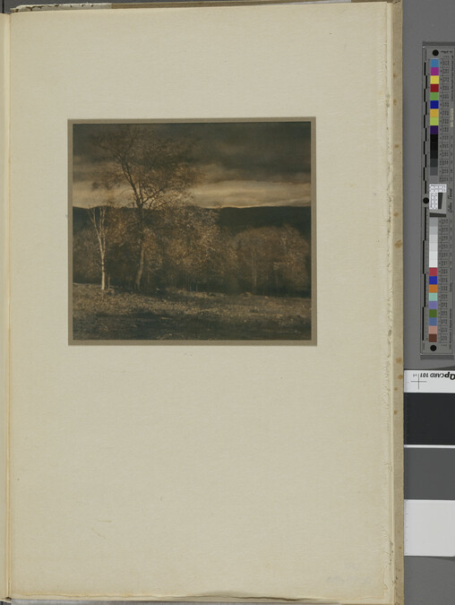 Alternate image #1 of Landscape in Two Colors, plate 27 in the book Steichen