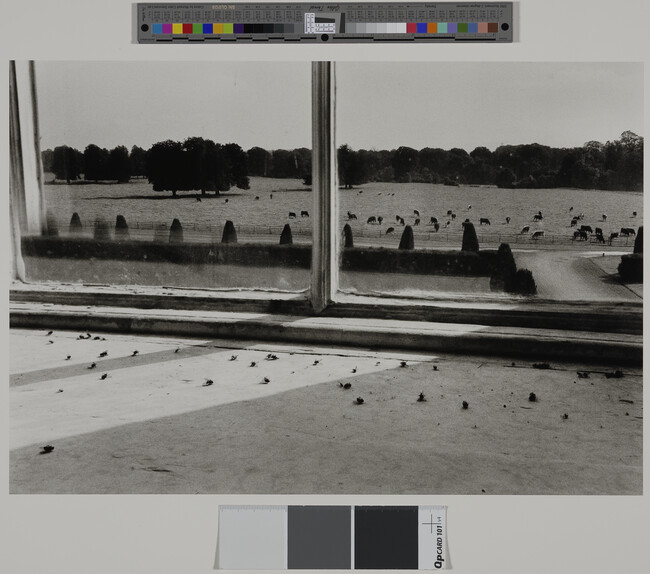 Alternate image #1 of Flies in the Window, Castletown House, Ireland, from the portfolio Alen MacWeeney