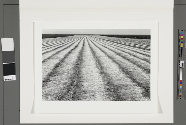 Alternate image #1 of Champ de lin, Normandie (Field of Flax, Normandy), 1978, number 15 of 15, from the portfolio Edouard Boubat