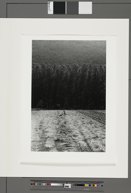 Alternate image #1 of Foins (Hay), Cahors, 1959, number 5 of 15, from the portfolio Edouard Boubat
