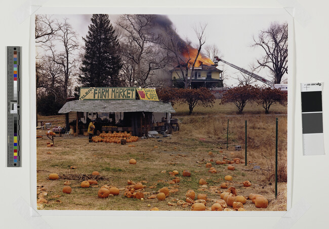 Alternate image #2 of McLean, Virginia (Pumpkins)