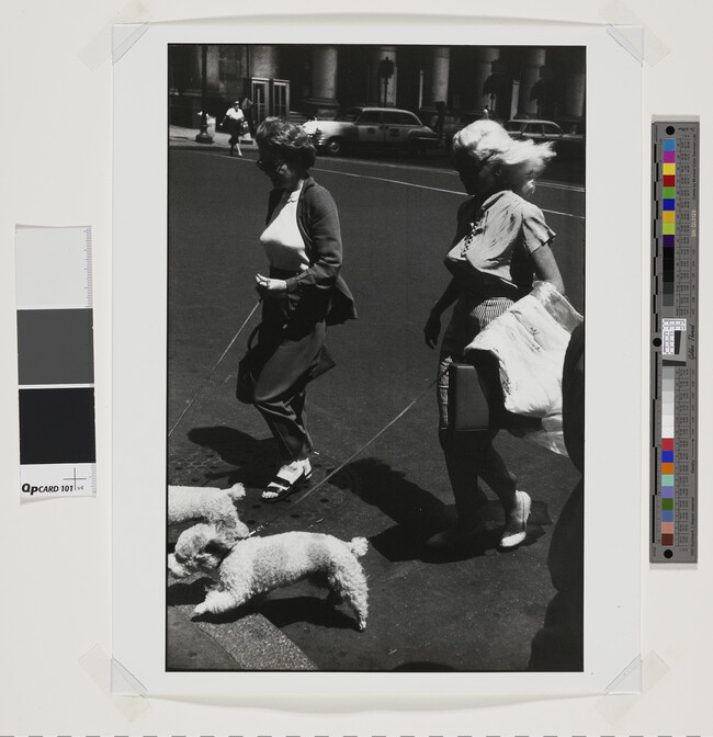 Alternate image #1 of Two Women with Poodles, number 1, from the portfolio Garry Winogrand