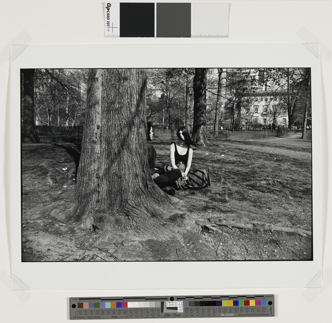 Alternate image #1 of Two Women Under Tree, number 3, from the portfolio Garry Winogrand