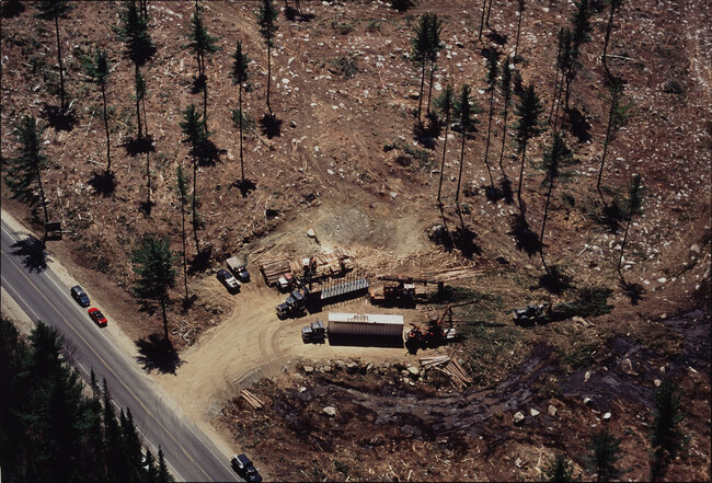 Alternate image #1 of Whitefield, New Hampshire, Clearcut Staging Area