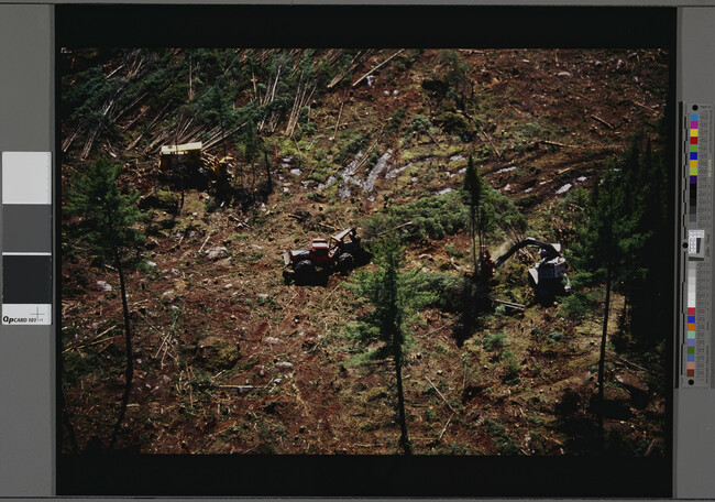 Alternate image #1 of Whitefield, New Hampshire, Mechanized Clearcutting (Cutting)