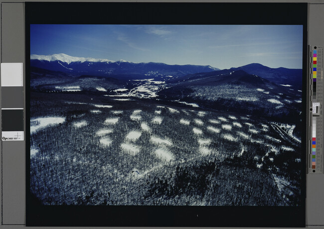 Alternate image #1 of White Mountain National Forest, New Hampshire, Patch Clearcut